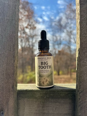 Big Tooth (Hello Baby) Big Tooth (Hello Baby)