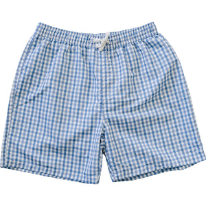 Light Blue Gingham Adult Men's Swim Shorts Light Blue Gingham Adult Men's Swim Shorts