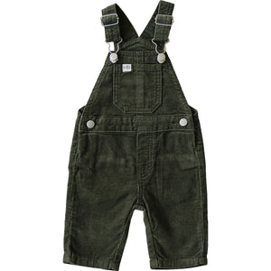 Green Corduroy Overalls Green Corduroy Overalls