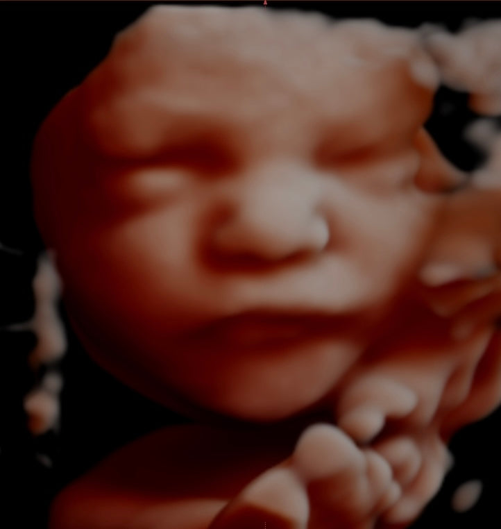 image-text image-text