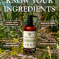 Coconut Conditioner | Wild Flowers