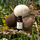 Wild Flowers Essential Oil & Phthalate-Free Fragrance Oil Blend