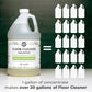 Floor Cleaner Concentrate | Bergamot & Cypress