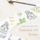 Floor Cleaner Concentrate | Bergamot & Cypress