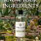 Floor Cleaner Concentrate | Wild Flowers