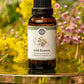 Wild Flowers Essential Oil & Phthalate-Free Fragrance Oil Blend