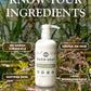 Hand Soap | Wild Flowers