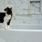 Pet Conditioner | Detangling & Softening | Unscented