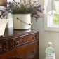 Laundry Detergent | Fresh Linen