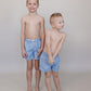 Light Blue Gingham Swim Shorts
