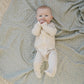 Desert Sage Muslin Quilt