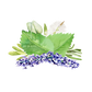 Room Spray | Aromatherapy Blend