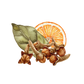Bay Spice Essential Oil Blend