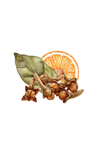 Bay Spice Essential Oil Blend