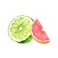 Bergamot & Grapefruit Essential Oil Blend