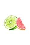 Bergamot & Grapefruit Essential Oil Blend