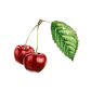 Cherry (Bitter Almond) Essential Oil