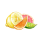 Floor Cleaner Concentrate | Lemon, Lime, Orange & Grapefruit