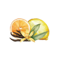 Room Spray | Citrus Vanilla
