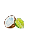 Coconut & Lime EO / FO Blend