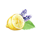 Lavender, Lemon & Mint Essential Oil Blend