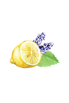 Lavender, Lemon & Mint Essential Oil Blend
