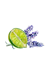 Lavender & Lime Essential Oil Blend