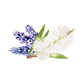 Lavender & Tea Tree Essential Oil Blend