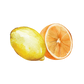 Lemon & Orange Essential Oil Blend