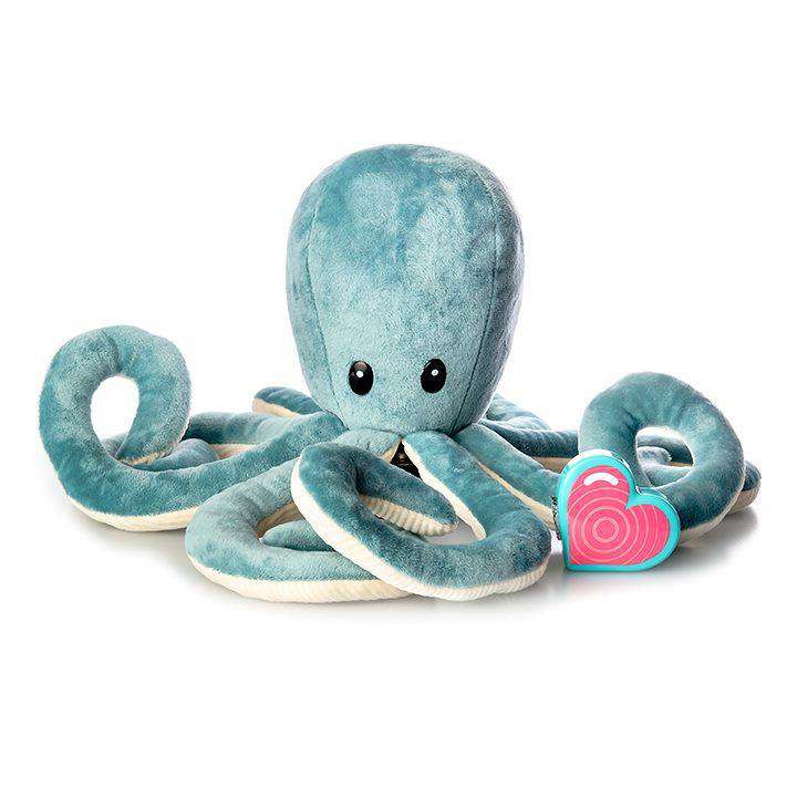 Octopus Heartbeat Animal